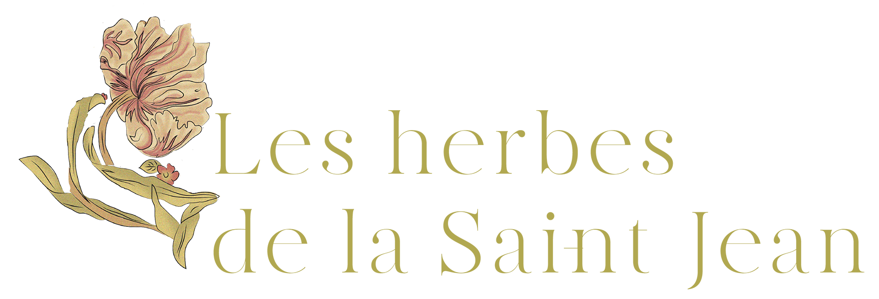 Les Herbes de la Saint Jean